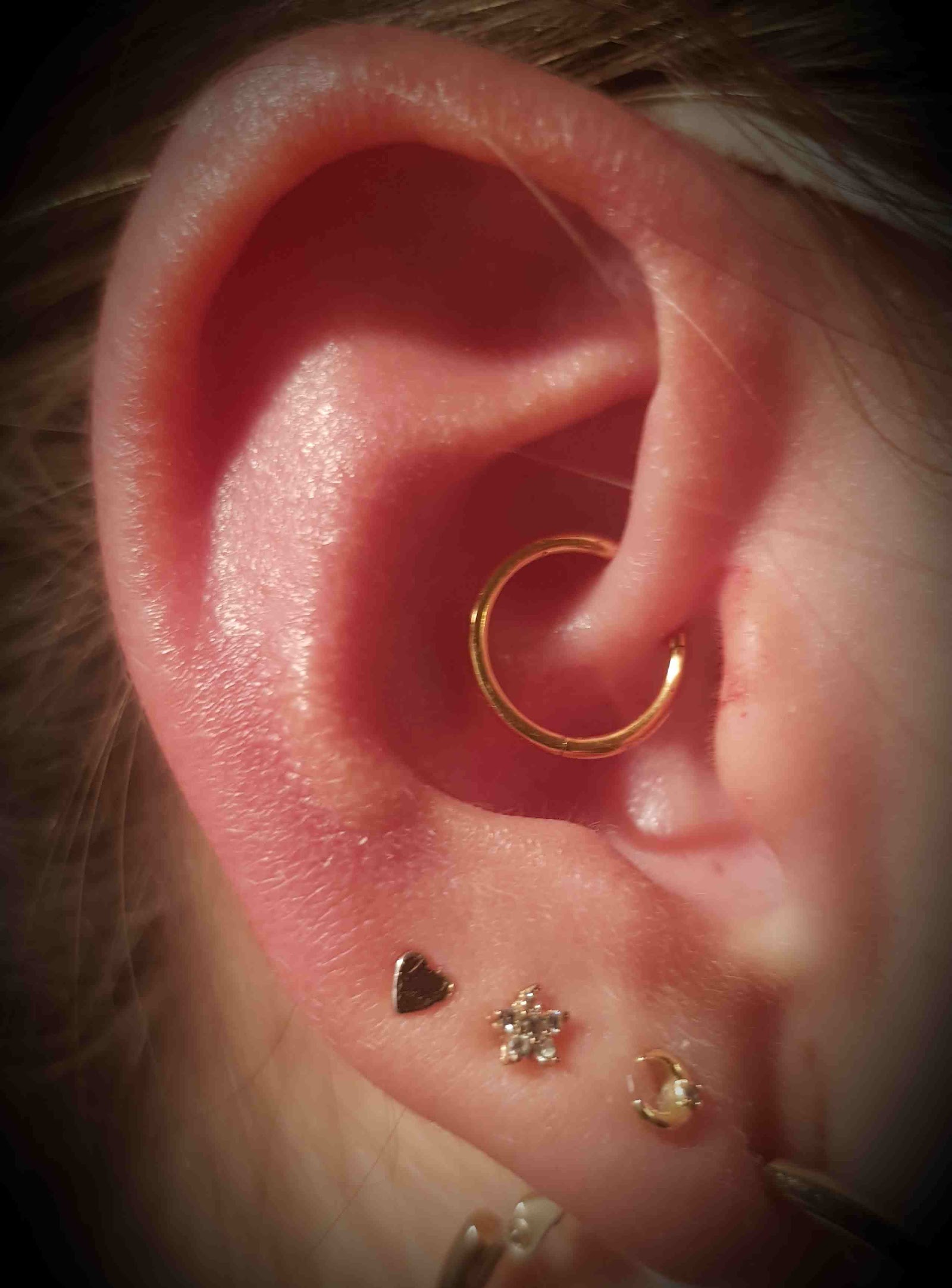 Piercing daith avec anneau or et piercings multiples du lobe - bijoux haute qualite chez Physical Design